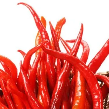 Chili Seed Essential Oil 5
